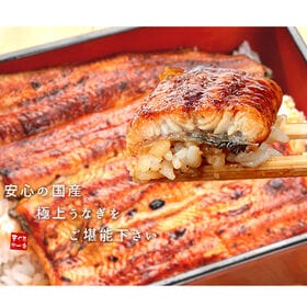 【160g-170g×2尾】うなぎ ウナギ 国産 長蒲焼き  [[ウナギ長蒲焼き-2p]