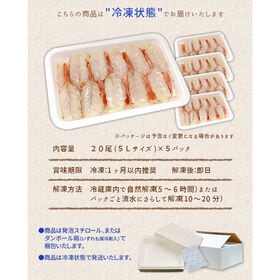 【100尾(20尾入×5パック)】エビ 刺身 赤エビ 天然 殻むき済 海鮮丼[[赤えび20尾-5p]