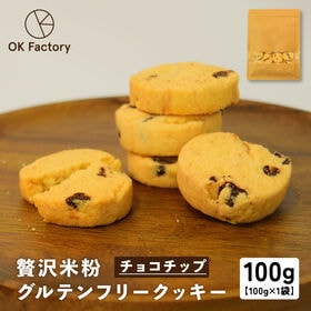 【100g×1袋】贅沢米粉のグルテンフリークッキー チョコチ...