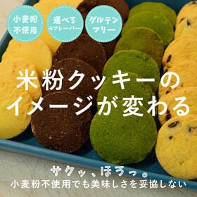 【100g×1袋】贅沢米粉のグルテンフリークッキー チョコチップ 100g