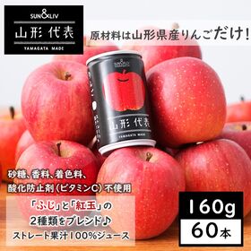 【160g×60本】SUN&LIV 山形代表りんご（山形食品...