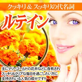 【初回限定】濃縮ビルベリー＆ルテイン(約6ヵ月分/360粒)