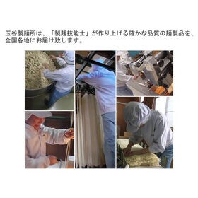 【540g(180g×3袋)】月山うどん 6人前