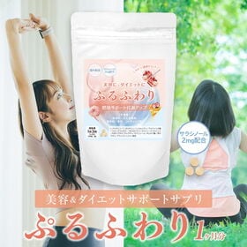 【90粒】ダイエットサプリ サラシノール サプリ 燃焼 美容...