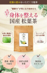 【2g×50包/計100g】朝日《国産》松の葉茶 無農薬 ティーバッグノンカフェイン