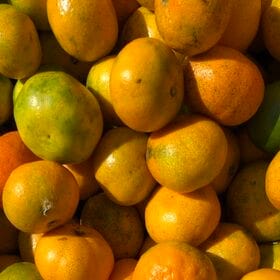 【約7.5kg】愛媛産 ご家庭用 農家さんもぐもぐ 外なりみかん