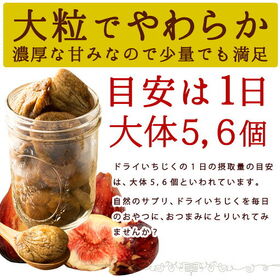 【700g】無添加 砂糖不使用 ドライいちじく(イチジク)