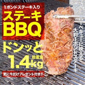 【計1.4kg】4種のステーキ入り 肉の福袋！\大容量/ステーキBBQセット