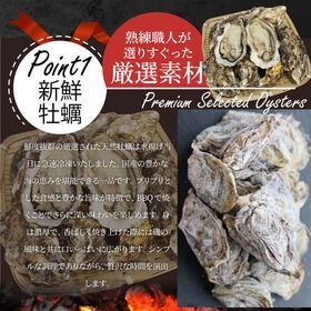 【計3.4kg】蠣焼き バーベキュー 焼肉 ステーキ セット  8種盛り 肉 海鮮 殻付き牡蠣