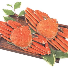 【計900g/450g×2杯】ボイルずわいがに姿