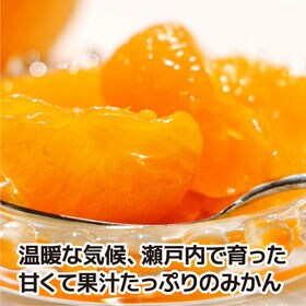 【約5kg(M-2L)】[秀品] 香川県産 早生みかん