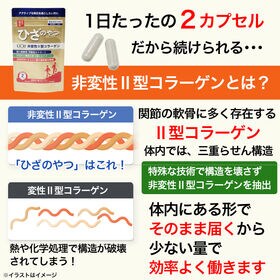 【30日分】ココカラダ ひざのやつ　非変性2型コラーゲン [機能性表示食品]
