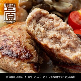 【計220g(110g×2個)】あぐーハンバーグ