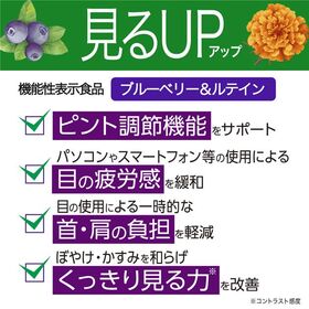 【120日分(6個セット)】見るアップ　ブルーベリー＆ルテイン　40粒 [機能性表示食品]