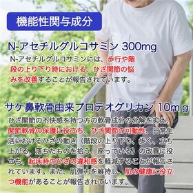 【240日分(12個セット)】歩くアップN-アセチルグルコサミン＆プロテオグリカン[機能性表示食品]