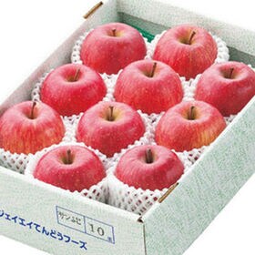 【予約商品】11/15~順次出荷【約3kg(7-14玉)】[秀品]山形県産サンふじりんご