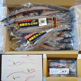 【10枚セット】金華沖 さんま開き干し