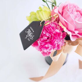 母の日のカーネーションポット ベリーピンク