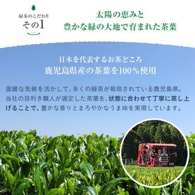 【500ml 24本】緑茶 彩茶-あやちゃ-