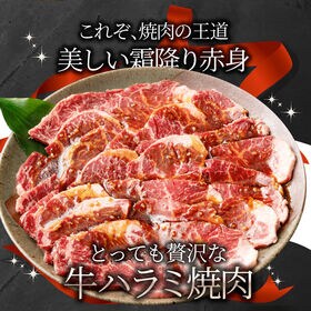 【計2kg】牛ハラミ焼肉（タレ漬け）250g×8パック