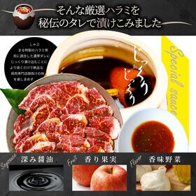 【計5kg(250g×20)】牛ハラミ焼肉（タレ漬け）