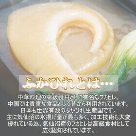 320g (160g×2袋) 気仙沼産ふかひれ姿煮 中華味