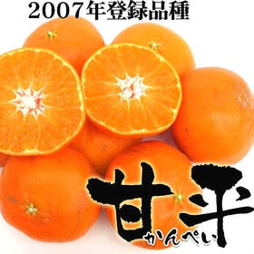 【約5kg】愛媛県産 甘平(かんぺい)(ご家庭用・傷あり)