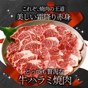 【10kg(250g×40パック)】牛 ハラミ 焼肉 牛肉 メガ盛り