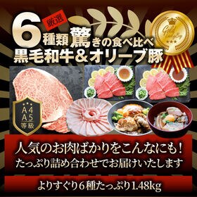 【計1.48kg】肉の福袋＜計6種 食べ比べ＞メガ盛り！ゴールド福袋！