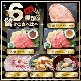 【計1.48kg】肉の福袋＜計6種 食べ比べ＞メガ盛り！ゴールド福袋！