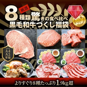 【計1.93kg】肉の福袋＜8種 食べ比べ＞メガ盛り！ルビー福袋！