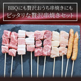 【計100本(3.2kg)】串焼き 盛り合わせ（ 牛ハラミ/牛肩ロース/豚バラ/鶏もも/ソーセージ）