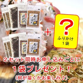 【4種/計5袋】人気の半生ふりかけ全4種☆食べ比べ♪「ほかほかご飯」「おにぎり」「お茶漬け」計5袋