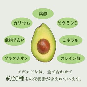 【メキシコ】8玉　アボカド