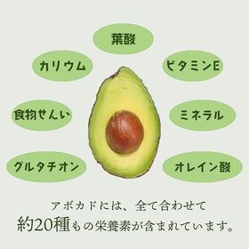 【メキシコ】6玉　アボカド