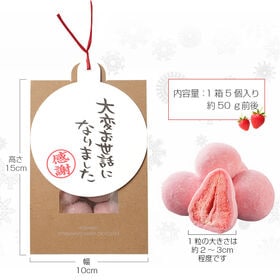 【計10個(5個入り×2袋)】北海道いちごミルクショコラ2袋セット【大変お世話になりました】【V】