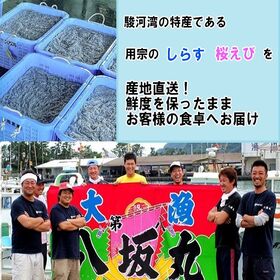 【300g】静岡県直送「生桜えび」(3袋小分け/冷凍)