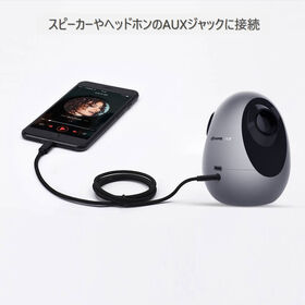 iPhone ライトニング3.5mmAUX変換ケーブル ゴルード