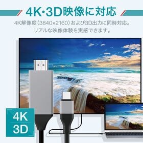 【 HDMI to USB Type-C 変換ケーブル ／ 2m 】 4K UHD 3D 対応