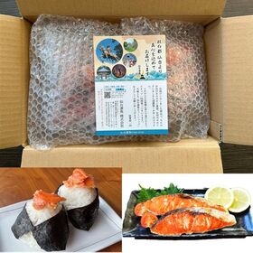 【50g×20切/1kg】《無塩》 銀鮭 切り身