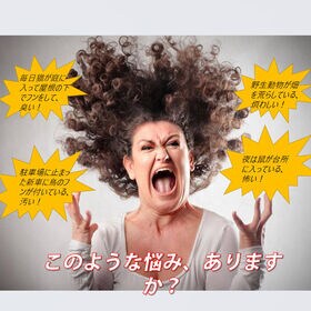 ソーラー式猫よけ 2台セット 超音波動物撃退機