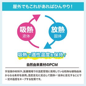 Icyクールキャリー