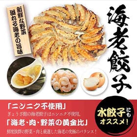 【2種/96個】美食点心ぎょうざ館 海老餃子 48個（ニンニク無し） /本餃子 48個