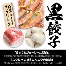 【2種/96個】美食点心ぎょうざ館 海老餃子48個（ニンニク無し）/ニンニクガッツリ黒餃子48個