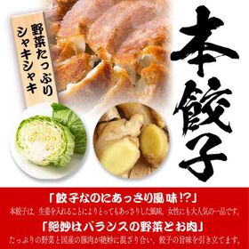 【96個】美食点心ぎょうざ館 本餃子