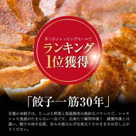 【96個】美食点心ぎょうざ館 本餃子