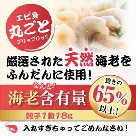 【2種/96個】美食点心ぎょうざ館 イカ餃子48個（ニンニク無し）/海老餃子48個（ニンニク無し）