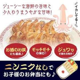 【2種/96個】美食点心ぎょうざ館　イカ餃子48個（ニンニク無し）/本餃子48個