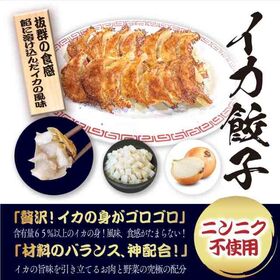 【2種/96個】美食点心ぎょうざ館　イカ餃子48個（ニンニク無し）/黒餃子48個