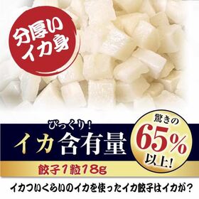 【96個】美食点心ぎょうざ館 イカ餃子（ニンニク無し）